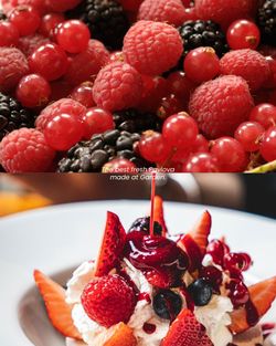 Brasserie à Brive la Gaillarde offrant une cuisine faite maison, avec desserts aux fruits rouges sur terrasse agréable.