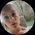 Photo de profil de Lola Kranyec