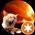 Photo de profil de Pollux