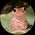 Photo de profil de Doctor Lehnsherr