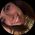 Photo de profil de Chloe Coucault