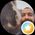 Photo de profil de Sebastien G